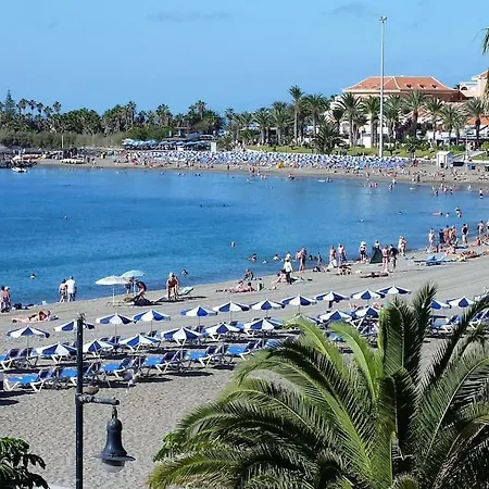 Estudio Cristianos-tenerife- Los Cristianos (Tenerife)